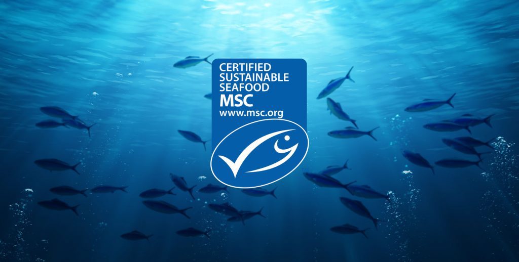 Blogg Välj MSC märkt fisk för en hållbar framtid